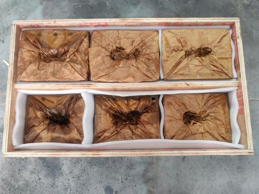 برميل المسمار للجهاز لإعادة تدوير البلاستيك