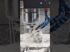 المسمار والبرميل المكبّر بدقة عالية قطعة عنصر المسمار لجهاز المكبّر المزدوج