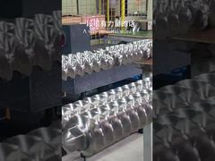 عمود مسمار مزدوج داخلي حلزوني لآلة 65 مم